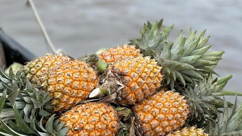 Ho Chi Minh: Authentic boat trip - Cai Rang Floating Market - Key points to know before booking