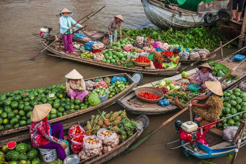Ho Chi Minh City: Cai Rang Floating Market in Can Tho Tour - Son Islet and the floating fish farm