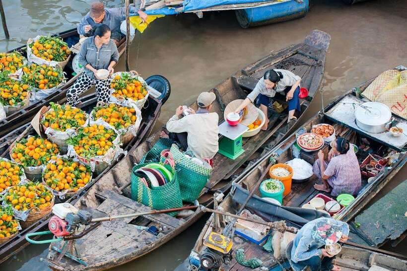 Ho Chi Minh City: Cai Rang Floating Market in Can Tho Tour - Gardens, fruit, and the monkey bridge