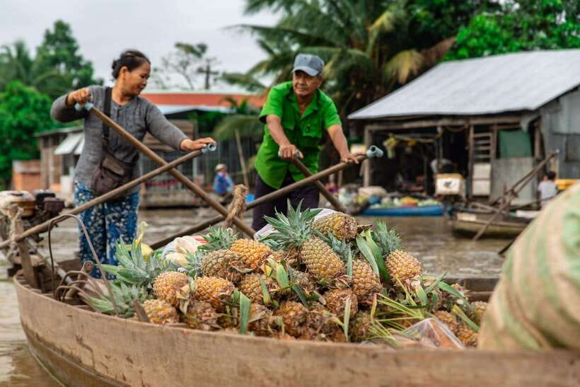 Ho Chi Minh City: Cai Rang Floating Market in Can Tho Tour - Making cakes, popping rice, and watching fish perform