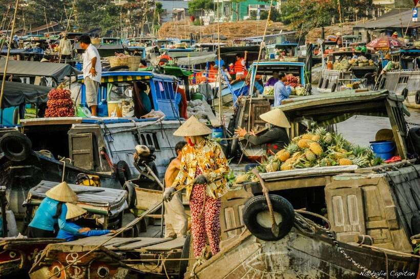 Ho Chi Minh: Group Cai Rang Floating Market 1 Day Tour - Who should choose this Can Tho day trip?