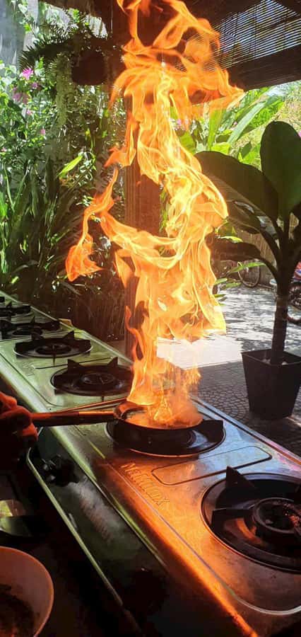 Hoi An: Cooking Class in Coconut Jungle with Market Tour - Through The Coconut Waterways By Basket Boat