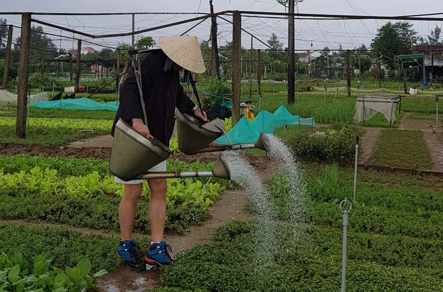Hoi An Cooking Class With Market and Bamboo Basket Boat Tour - 8:00 AM pickup, with a useful start to the day