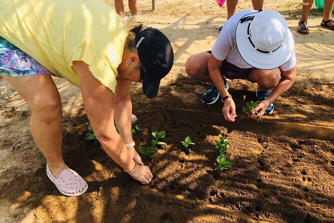 Hoi An Local Market and Vegetable Village Cooking Class - From Hoi An Market to your cooking table