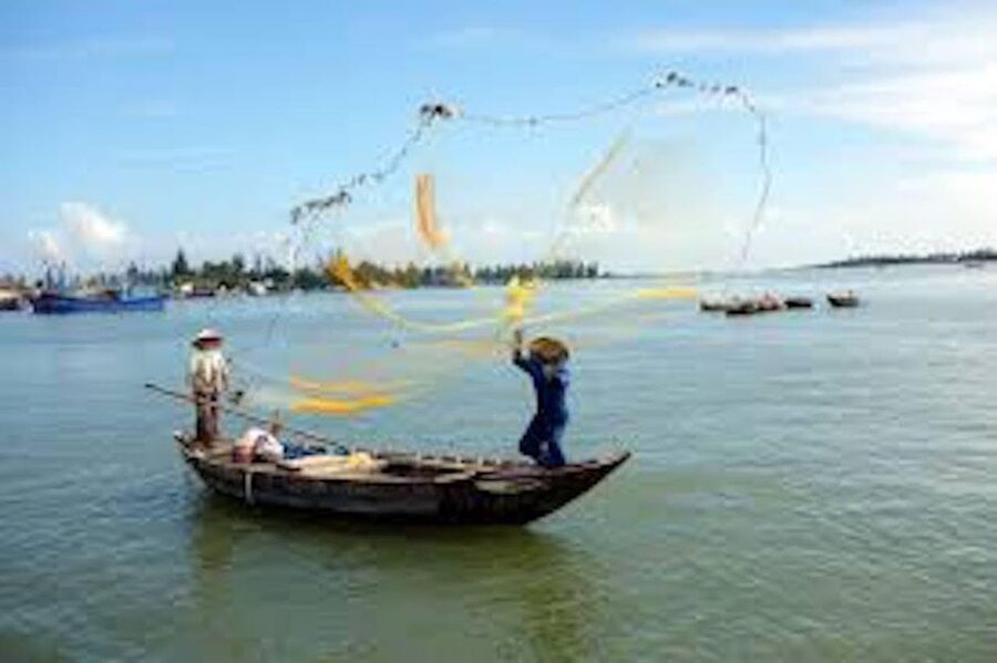 Hoi An: Market tour - Cam Thanh Cooking Class & Basket Boat - Who will enjoy this Hoi An cooking day?