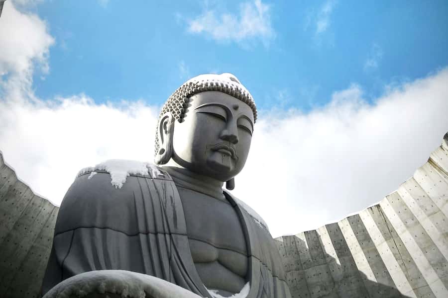 Hokkaido Sapporo :Hill of Buddha, Beer Museum & Fish Market - Key points to know before booking