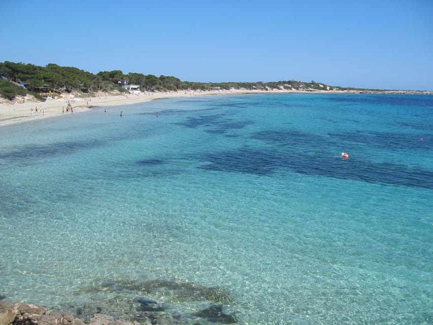 Ibiza: Full-Day Excursion and Visit to a Hippy Market - Who will enjoy this Ibiza tour most?