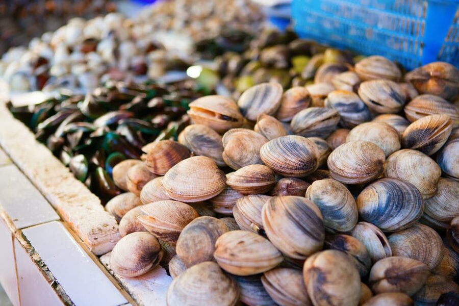 Ischia: Market Tour & Cooking Class at a Local's Home - Key points to know before booking