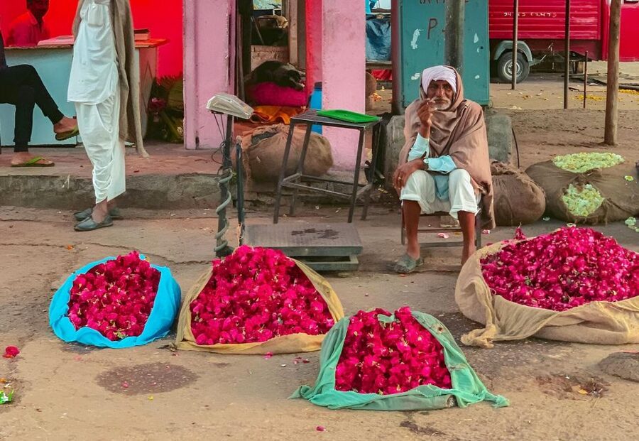 Jaipur: Half-Day Guided Sightseeing Tour with Flower Market - Gaitor Ki Chhatriyan and Jaipur’s royal memorials