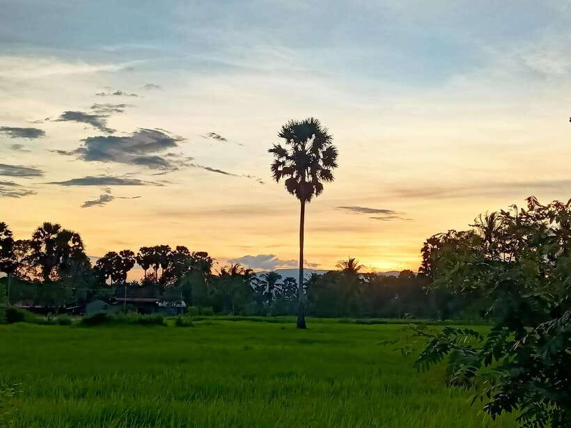 Kampot Countryside include Pepper farm,Kep crab market beach - Salt Fields: Start With Kampot’s Working Economy