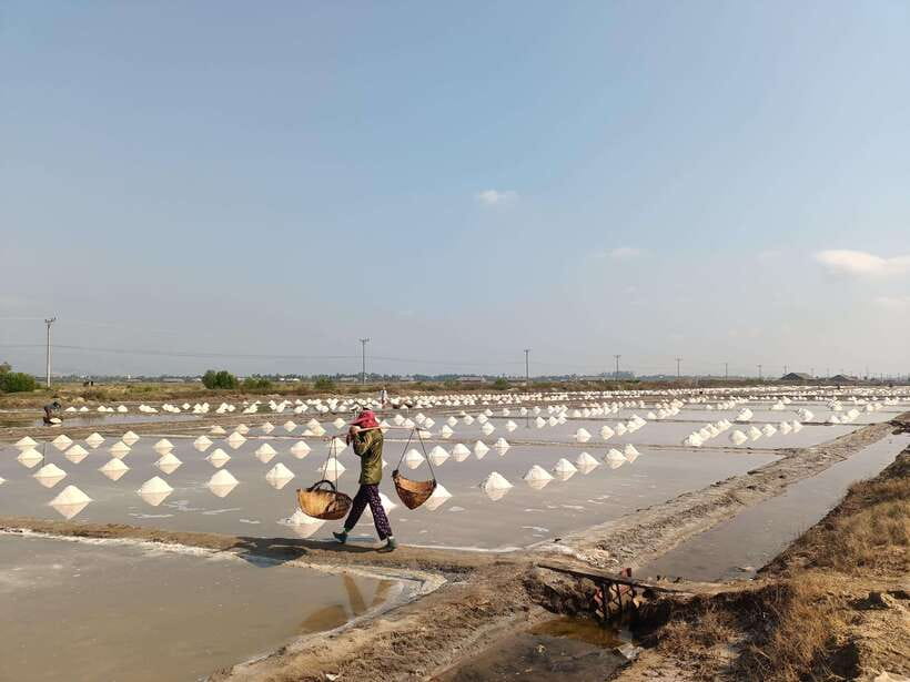 Kampot Countryside include Pepper farm,Kep crab market beach - Guide Quality and the Human Side of the Tour