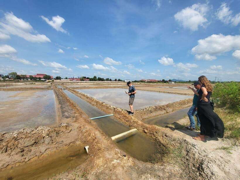Kampot Pepper Farm, Salt Fields, Crab Market from Phnom Penh - La Plantation and the taste of Kampot pepper
