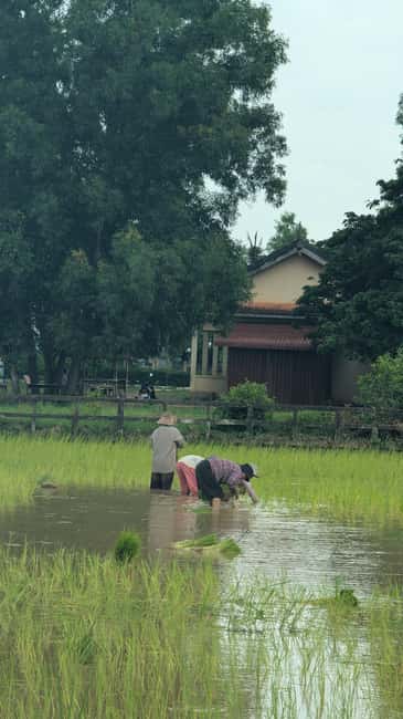 Kampot Pepper & Kep/Crab Market Tours: Salt, Secret lake - La Plantation and the pepper tasting