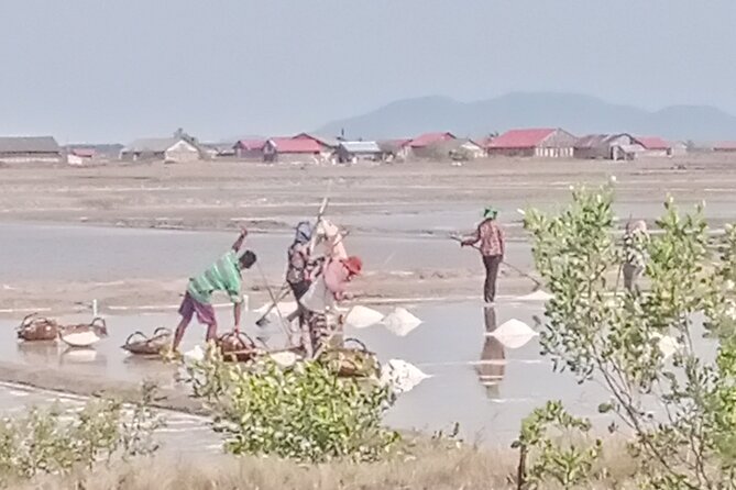 KAMPOT TRAVEL-Pepper farm. Cave.Secret lake-Crab market & Salt... - Phnom Chhngok Cave Temple and its unusual setting