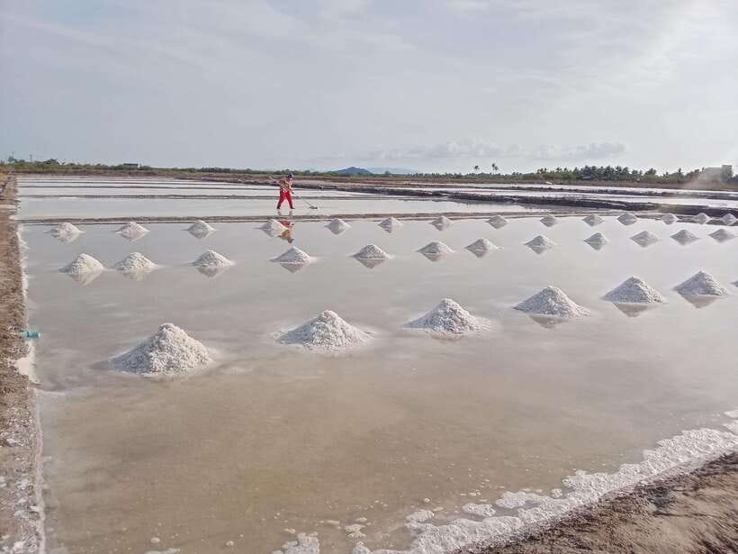 Kampot: Tuk Tuk Trip to Pepper Farm, Kep, Crab Market & More - Brateak Krola and Secret Lake