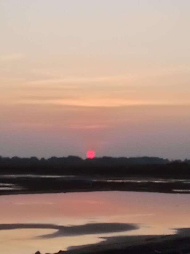 Kampot: Tuk Tuk Trip to Pepper Farm, Kep, Crab Market & More - The guides make or break the day
