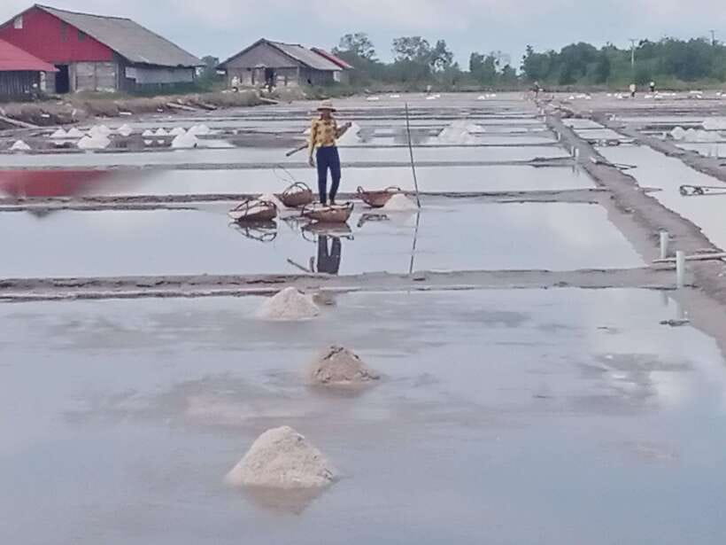 Kampot: Tuk Tuk Trip to Pepper Farm, Kep, Crab Market & More - Salt fields: a quiet start to the day