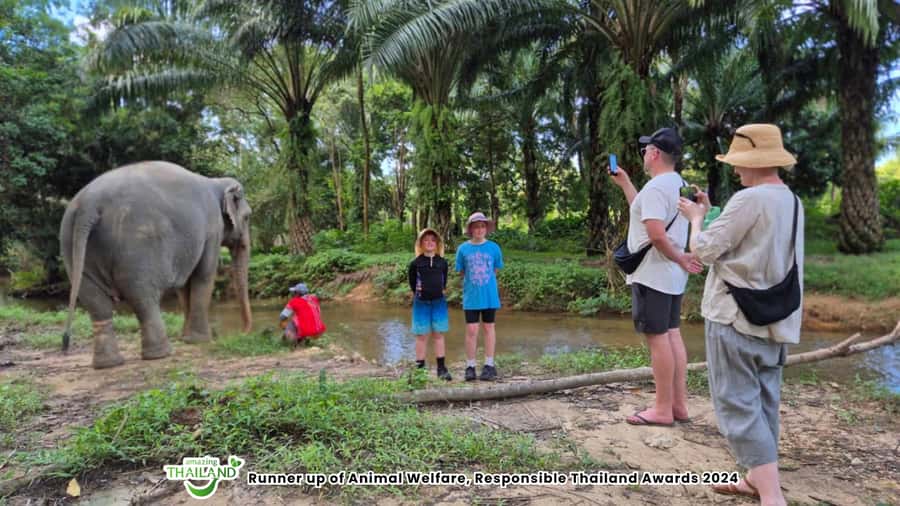 Khaolak Guide Tour to Sunday Market and Rescured Elephant - Key points to know before you go