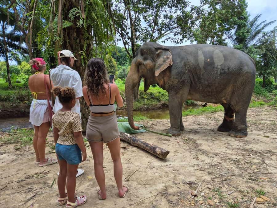 Khaolak Guide Tour to Sunday Market and Rescured Elephant - Nam Khem Cultural Centre: local stories in a clay building