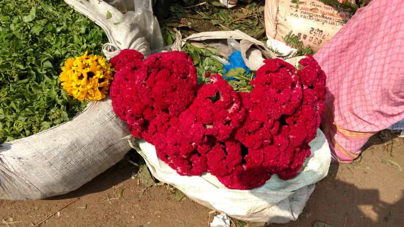 Kolkata: Half-Day Morning Tour w/ Flower Market - Why this four-hour route works