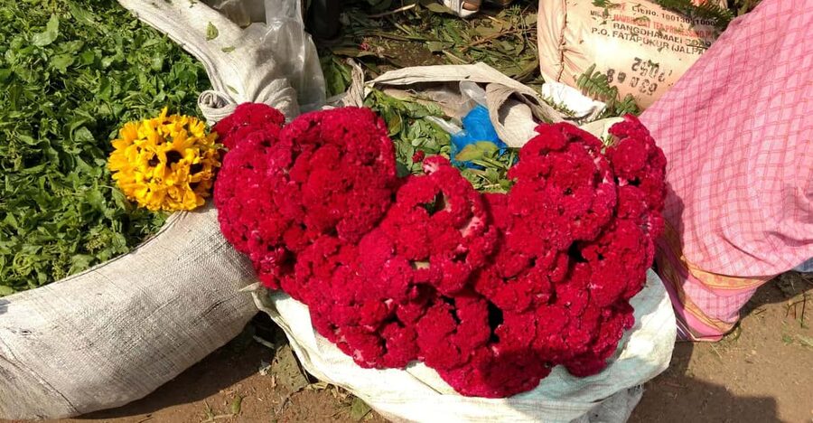 Kolkata: Half-Day Morning Tour w/ Flower Market - Masala chai beside the river at Prinsep Ghat