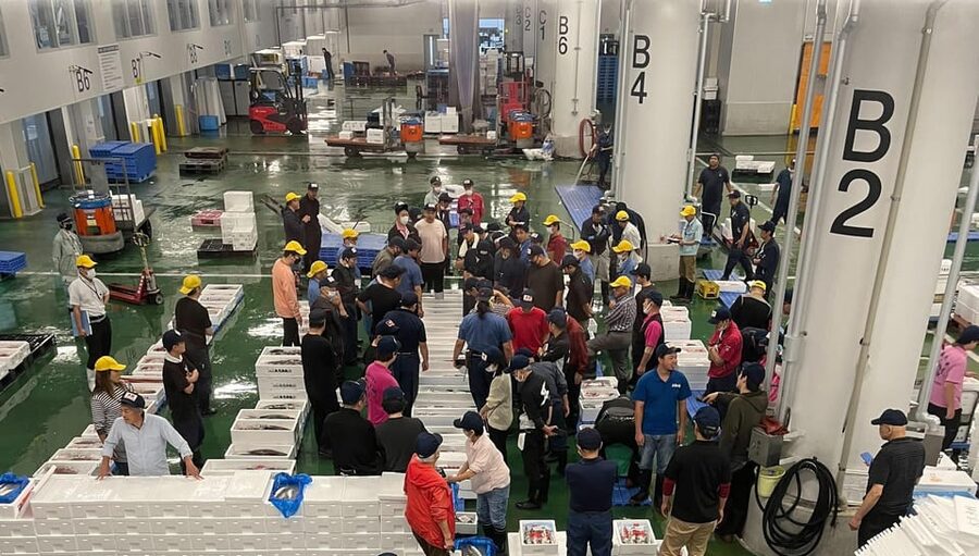 Kyoto: Wholesale Fish Market Walking Tour - Meeting at Umekoji Kyotonishi Station