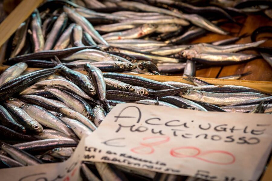 La Spezia: Market Visit and Seafood Cooking Class with Lunch - What the Small Group Changes