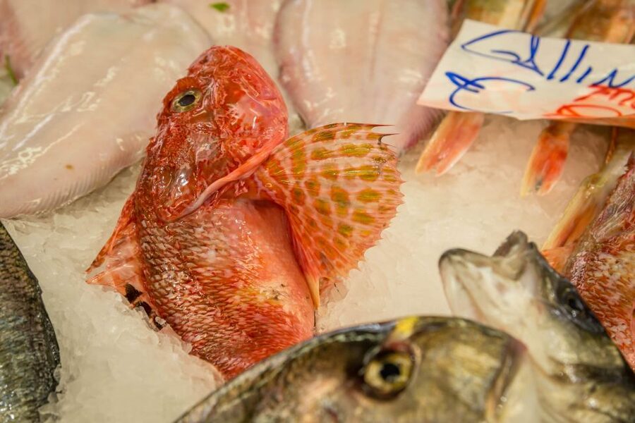 La Spezia: Market Visit and Seafood Cooking Class with Lunch - Who Will Enjoy This Cooking Class?