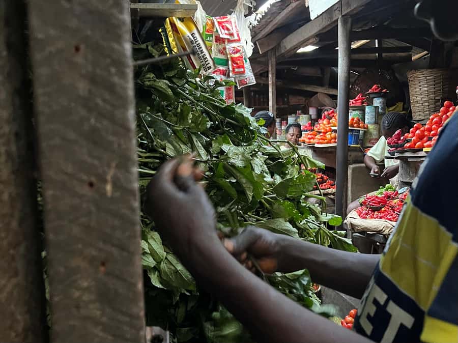Lagos, Nigeria: Nigerian Cooking Class and Market Visit - Starting at the Oniru market