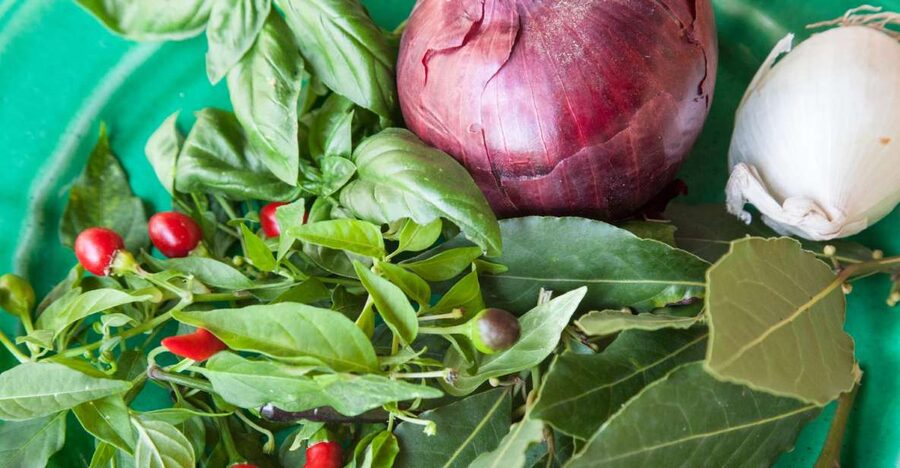 Lecce: Market and Private Cooking Class at a Local's Home - Starting at Lecce’s market