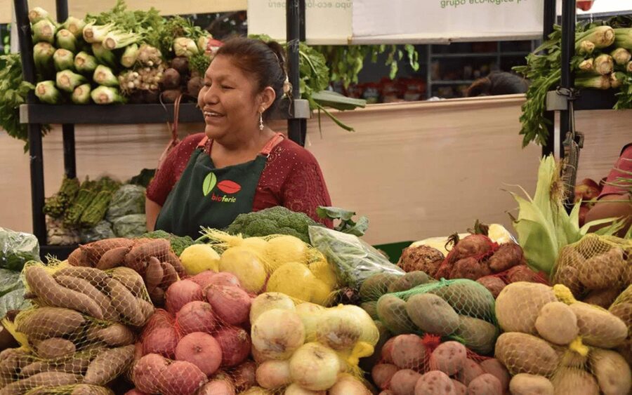 Lima Food Experience with local Markets & Barranco Tour - Who will get the most from this experience