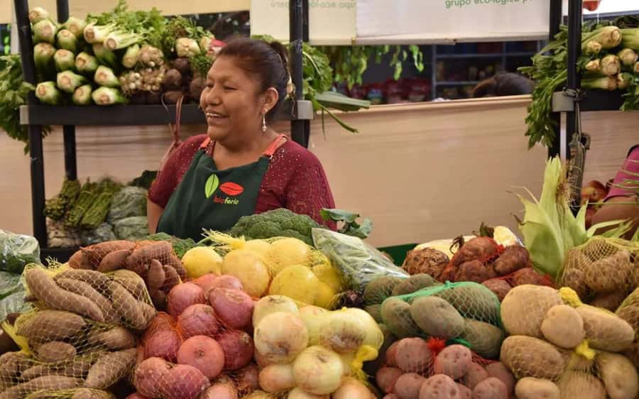 Lima Food Experience with local Markets & Barranco Tour - Pickup, clothing, and planning tips