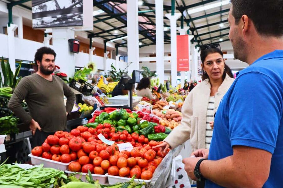 Lisbon: Setúbal Market and Wine tour with Cooking class - Transport, group size and the pace of the day