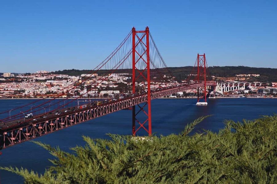 Lisbon: Setúbal Market and Wine tour with Cooking class - Who will get the most from this experience