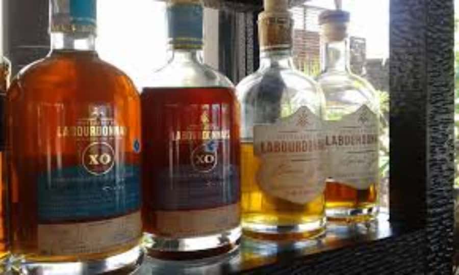 local Market,Botanical garden,Rum tasting & authentic Lunch - Port Louis: Start With Mauritius in Motion