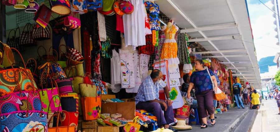 local Market,Botanical garden,Rum tasting & authentic Lunch - What the Private Format Really Adds