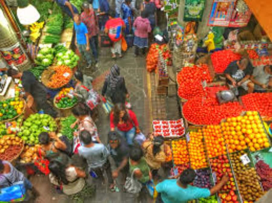 local Market,Botanical garden,Rum tasting & authentic Lunch - Is Eight Hours Enough for Northern Mauritius?