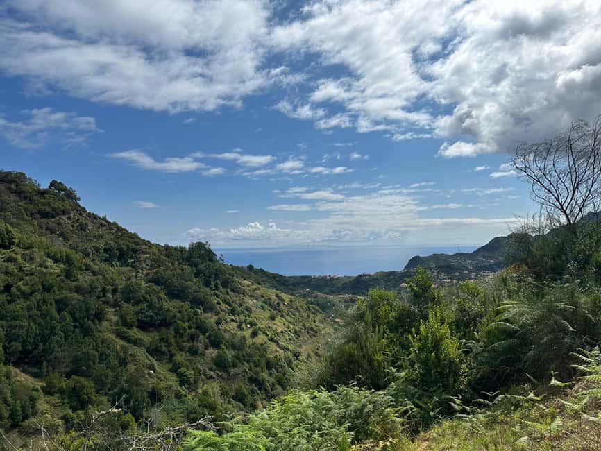 Madeira: Levada Walk and Santo da Serra Market Tour - Why this short Madeira tour works