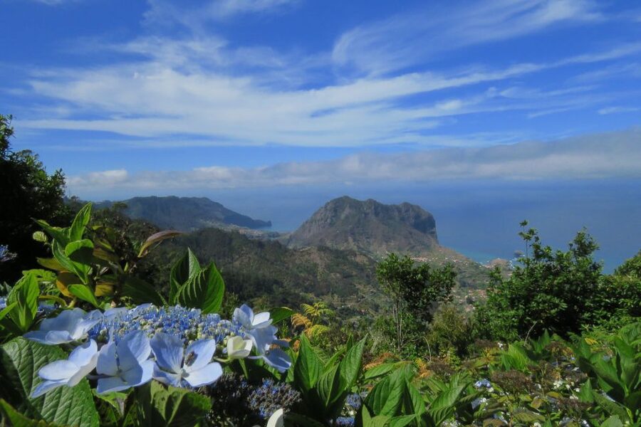Madeira : Santo de Serra Local Farmers' Market half day trip - Timing, pickup, and what to bring