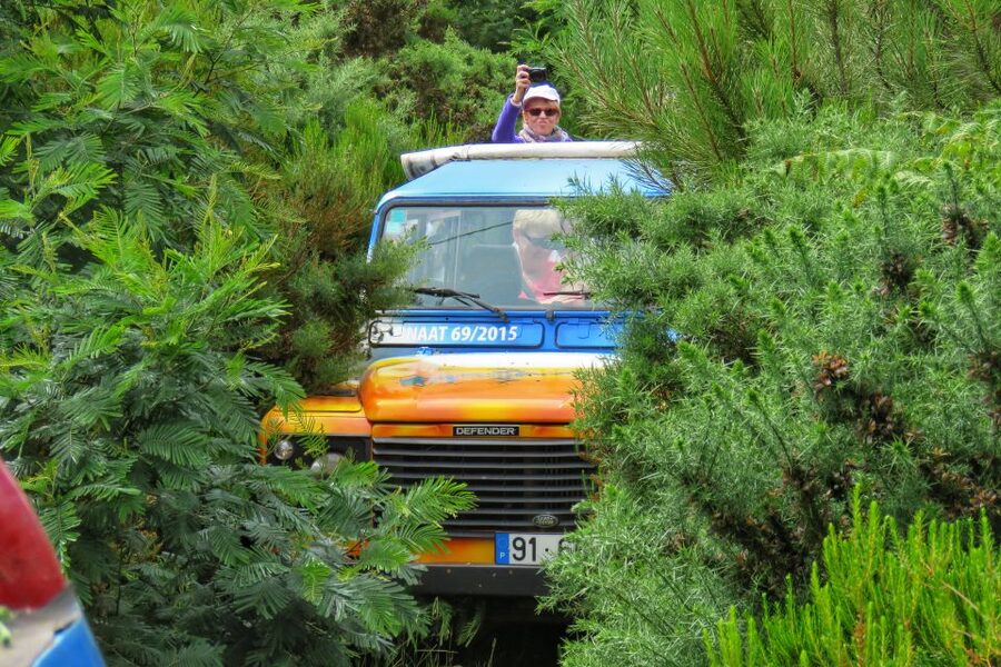 Madeira : Santo de Serra Local Farmers' Market half day trip - Who should book this Madeira market trip?