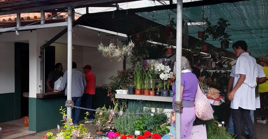 Madeira: Sunday Market in Santo da Serra - Walking through Santo da Serra Market