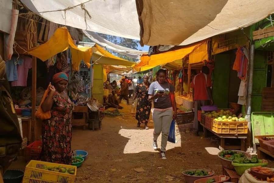 Market Tour and Traditional Kenyan Cooking Class in Nairobi - Cooking in a small Nairobi home kitchen
