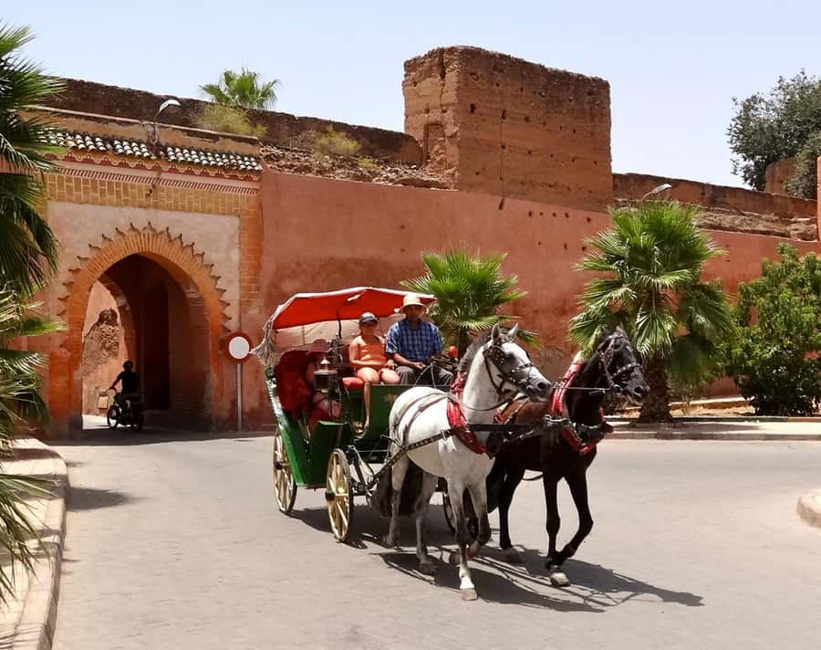 Marrakech: Half-Day Medina Markets Tour - What the Medina markets add to the tour