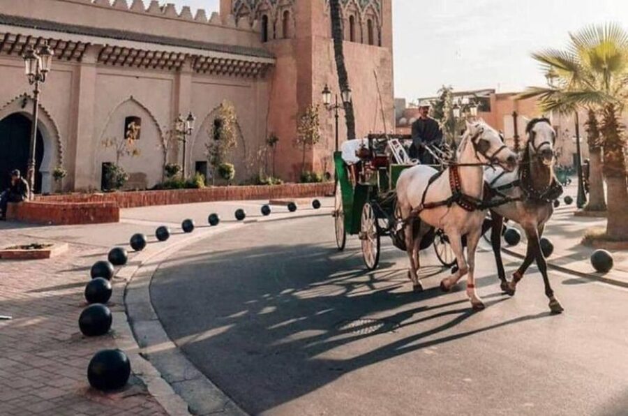 Marrakech: Hidden Souks Shopping Tour with Private Guide - One hour around Rue Fhal Zefriti