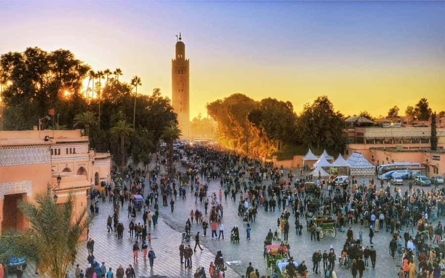 Marrakech Monuments & Souks 3-Hour Tour - The guides make the greatest difference