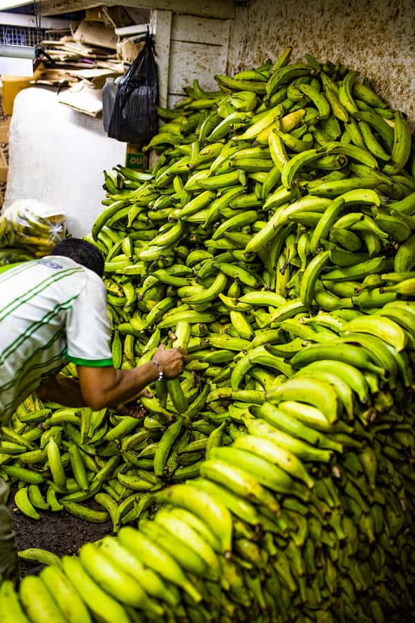 Medellín Multi-sensory Tour in the market, +15 Exotic Fruits - What the guide adds to the fruit