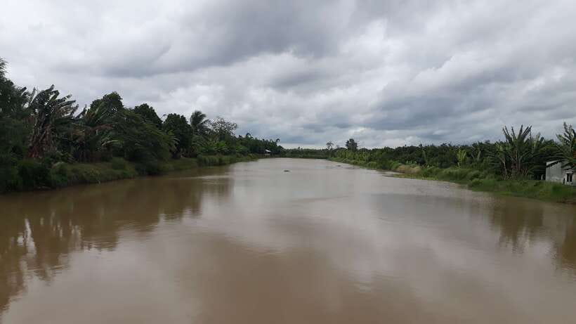 Mekong Day Tour by Car:Cai Be market, Local Island & Cycling - Timing, comfort, and who should book