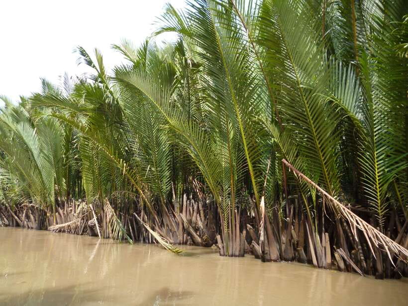 Mekong Day Tour by Car:Cai Be market, Local Island & Cycling - Walking and cycling through the village after lunch