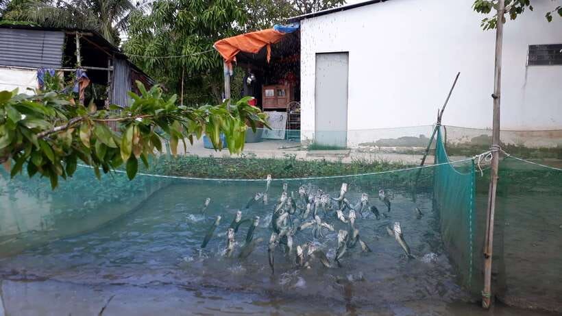 Mekong Day Tour by Car:Cai Be market, Local Island & Cycling - What the guide adds to the experience