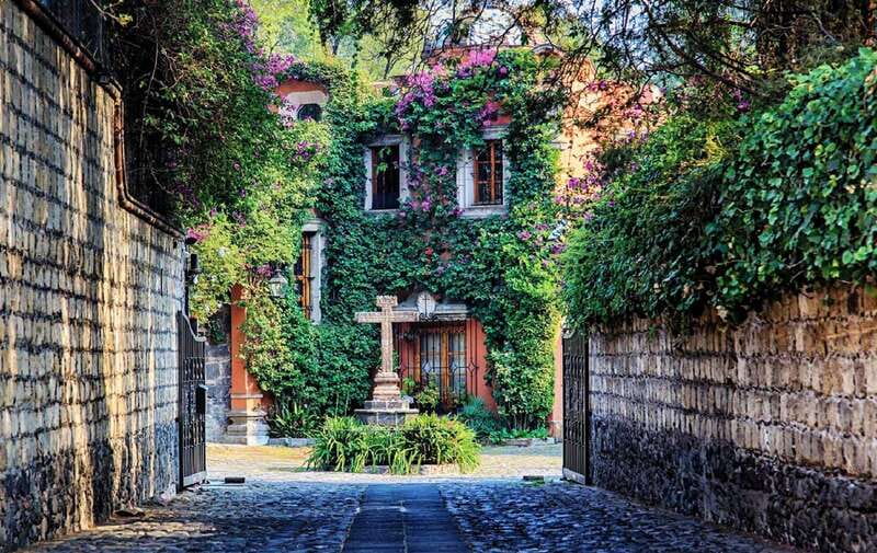 Mexico City: Bazaar Saturday, Convent of Carmen & San Angel - San Angel: mansions, legends, and a slower pace